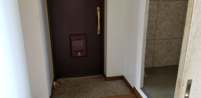 ゴミ屋敷 ゴミ屋敷